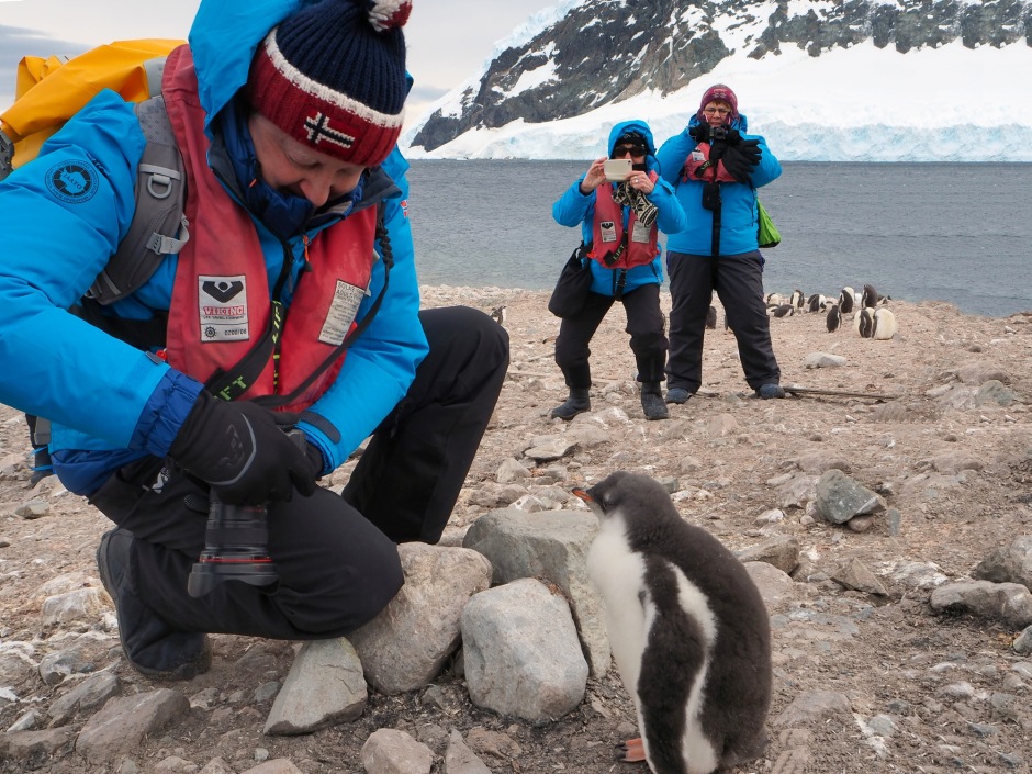 Turister i nærkontakt med pingviner